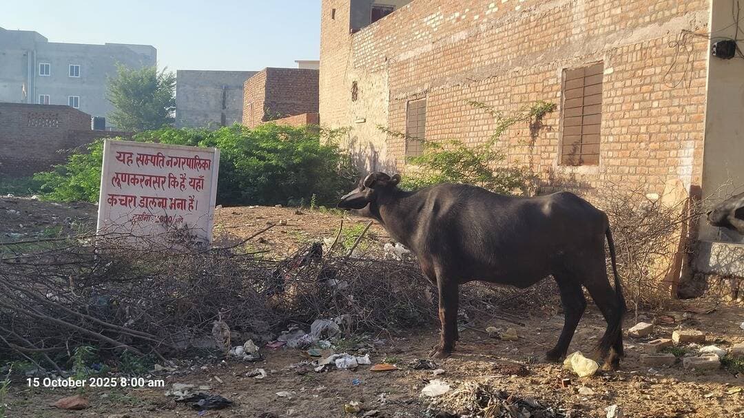 पुरानी बाता