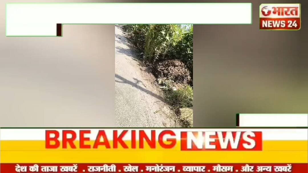 @bharattnews24 #bharatnews24x7