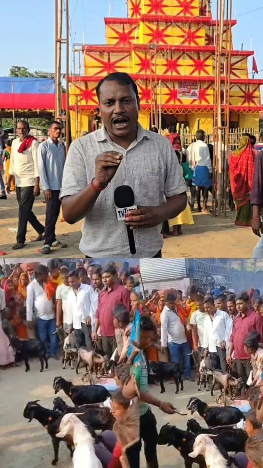 900 वर्ष पुराना मन्दिर का ऐसा चमत्कार 👏
#durgapuja #mandir #madhepurabihar #fbreelsfypシ゚