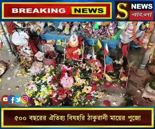 মালদার গাজোলের ময়নায় প্রায় ৫০০ বছরের ঐতিহ্য বহন করে আসছে বিষহরি ঠাকুরানী মায়ের পুজো।