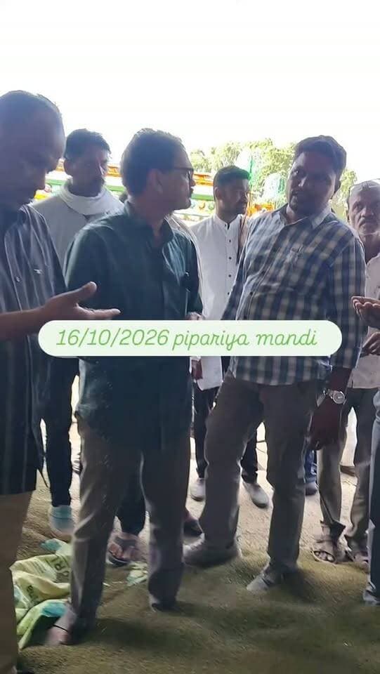 16*10*2026 pipariya mandi