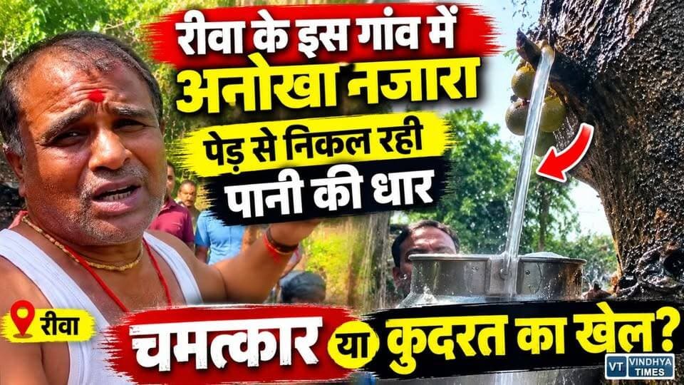 रीवा में चमत्कार! उमर के पेड़ से निकलने लगी पानी की धार, देखने उमड़ी भीड़
#Rewa #RewaNews #Gangahara #MadhyaPradesh #MPNews #ViralNews #BreakingNews #RewaUpdate #StrangeIncident #WaterFromTree #GularTree #LatestNews #ViralVideo