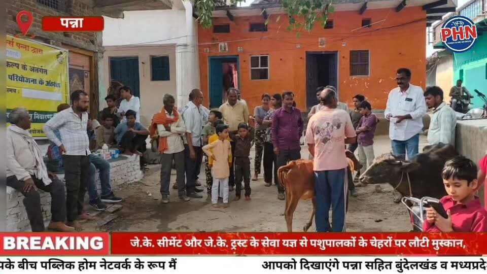 पिपरवाह में छाई खुशहाली की बहार: जे.के. सीमेंट और जे.के. ट्रस्ट के सेवा यज्ञ से पशुपालकों के चेहरों पर लौटी मुस्कान, बेजुबानों को मिला नया जीवन!