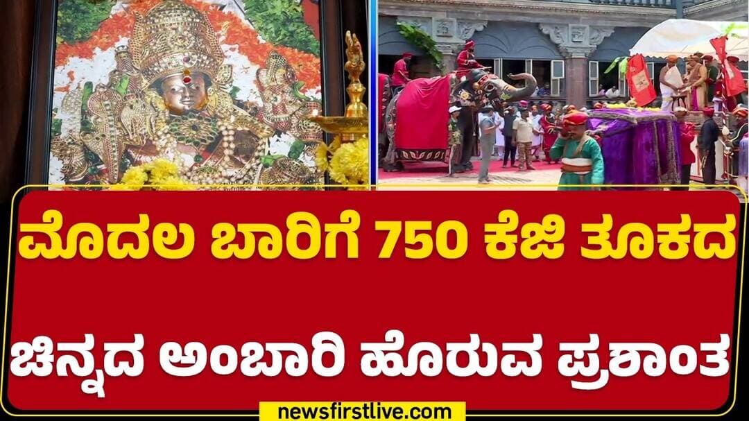 Dasara Jamboo Savari 2026 : ಕುಮ್ಕಿ ಆನೆಗಳಾಗಿ ಕಾವೇರಿ, ರೂಪ ಕರ್ತವ್ಯ ನಿರ್ವಹಿಸಲಿವೆ | Captain Prashantha