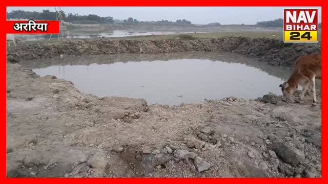 मां के विसर्जन को लेकर अररिया के त्रिशूलिया घाट पर बना कृत्रिम तालाब
#Araria #NavBihar24 #त्रिशूलियाघाट #अररिया #नगरपरिषद मूर्तिविसर्जन कृत्रिमतालाब पर्यावरणसंरक्षण जलप्रदूषण नदीसंरक्षण दुर्गापूजा मिट्टीकीमूर्ति बिहारन्यूज स्थानीयसमाचार HindiNews