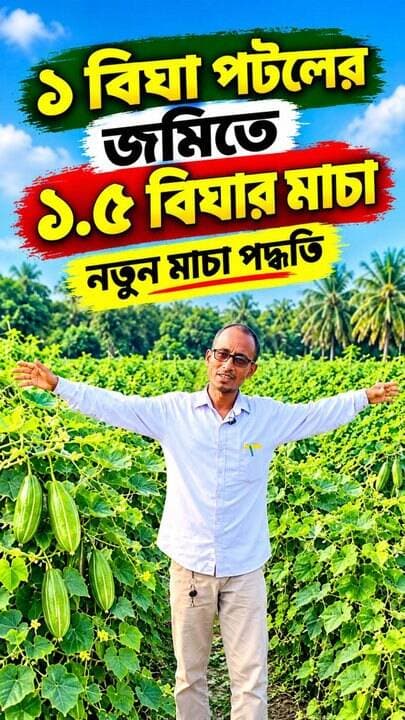 পটল চাষে নতুন মাচা পদ্ধতি ….
