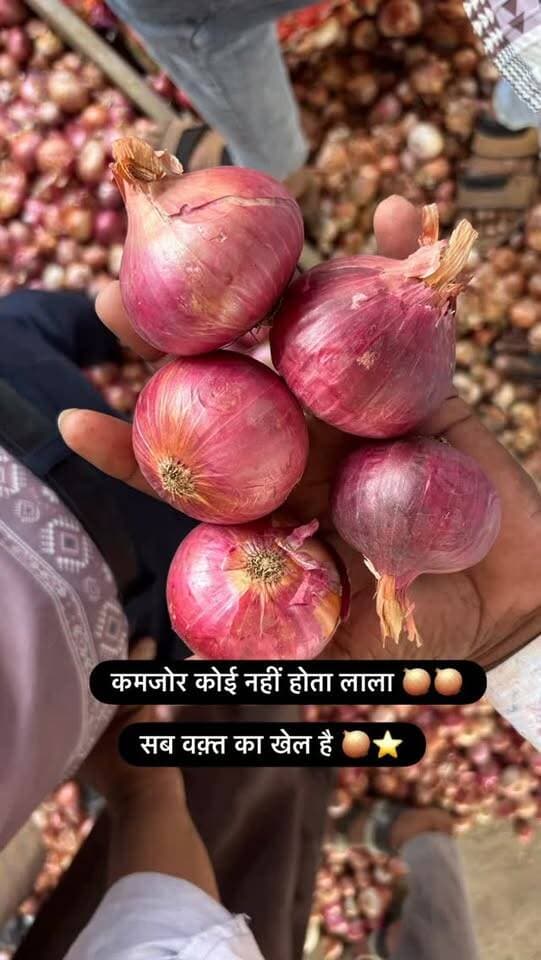 #viralreels #viralreelsvideo #trending #reelkarofeelkaro #mandibhavkalapipal