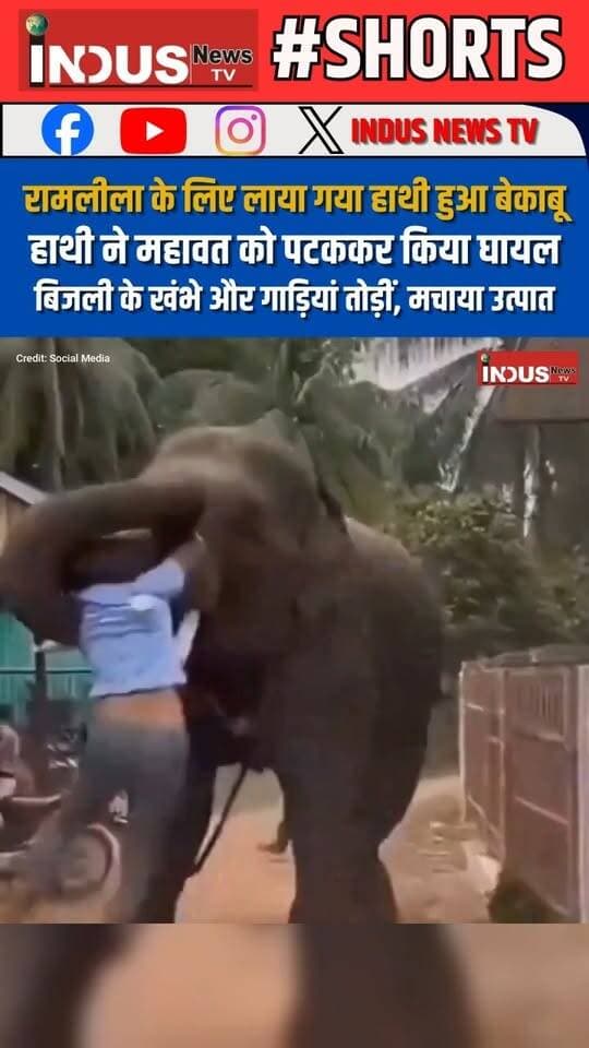 वाराणसी में रामलीला के लिए लाया गया हाथी हुआ बेकाबू, हाथी ने महावत को पटककर किया घायल, बिजली के खंभे और गाड़ियां तोड़ीं, मचाया उत्पात
#varanasi #elephant #attack #mahavat #ramleela #VaranasiNews #NewsUpdate #viralvideoシ #UPNews #ElephantAttack #wildanimals #animalattacks #safetyfirst #safetyawareness #safety #newsfeed #shorts #viralreels #viralpost #viral #animallover #animalrescue #animalattacks #newstock #varanasicity #VaranasiUpdate #varanasicity #newstoday #reelsviralシ #reels #reelsvideo #reelsviral #reelsfbシ #facebookviral #facebookpost #elephantlovers