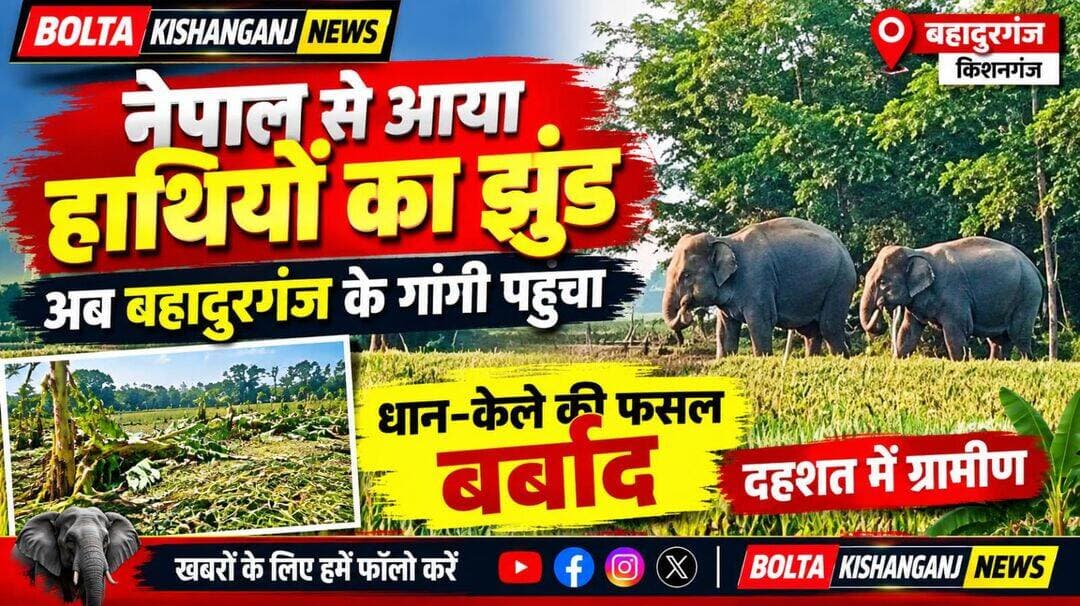 बहादुरगंज के गांगी में हाथियों द्वारा दो लोगों की गंभीर रूप से घायल होने की खबर।
इन बातों का पालन करें हाथियों को बिल्कुल परेशान न करें....
ग्रामीणों से अपील है कि
हाथियों के करीब न जाएं
भीड़ न लगाएं और उन्हें भगाने की कोशिश न करें।
सुरक्षित दूरी बनाए रखें और वन विभाग तथा प्रशासन के निर्देशों का पालन करें।
हाथियों से दूरी बनाएं
बिना वजह हाथियों के पीछे ना जाए ना ही फोटो वीडियो नजदीक जाकर बनाएं इससे आपको खतरा हो सकता है।
सावधानी ही बचाव है। जितना हाथियों को भगाएंगे उतना क्षति हो सकता है इसलिए दूरी बनाकर रखें।
🙏🙏