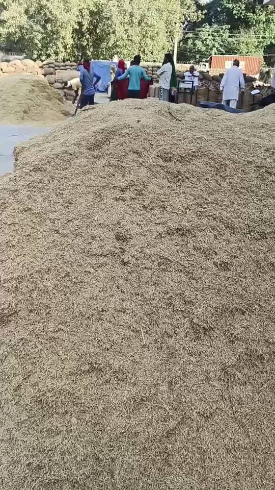 पोर्टल की समस्या सबसे बड़ी समस्या किसानों के लिए, आढ़तीयो के लिए ऐसा बताया मनीष कंबोज आढ़ती एसोसिएशन प्रधान ने।
जगाधरी अनाज मंडी।