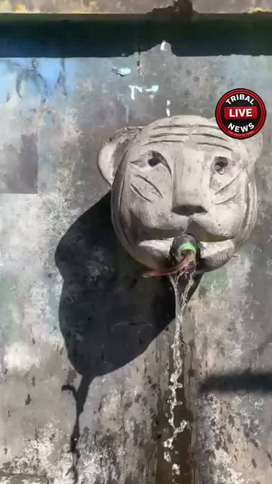 चंबा (खजियार)डुगली नाले में पानी पीते समय सावधानी बरतें। नाले के पानी में अचानक साँप दिखाई दिया। इसलिए पानी पीने से पहले ध्यान से जाँच करें और अपनी सुरक्षा का विशेष ध्यान रखें। । Tribal Live News #highlight #chamba #khajjiyar #viralpost