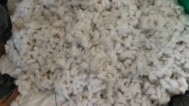 आज धामनोद मंडी में कपास की आवक त्योहार के चलते कम देखने मिली
आज कपास का भाव 8400 से 9175 तक रहा, आज ज्यादातर कपास 8900 से 9050 तक बिका...
21 अक्टूबर 2026
Dhamnod Mandi Bhav
.
.
.
.
.
.
.
.
.
.
.
.
.
.
.
.
.
#dhamnodmandibhav #kapaskamandibhav #kapaskabhav #kapasmandibhav #mandinews