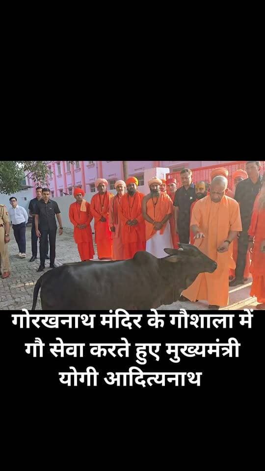 गोरखनाथ मंदिर के गौशाला में गौ सेवा करते हुए मुख्यमंत्री योगी आदित्यनाथ
#GorakhnathMandirGorakhpur
