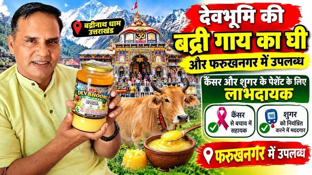 Gurugramnews: कैंसर और शुगर के पेशेंट के लिए लाभदायक घी उपलब्ध #viralnews