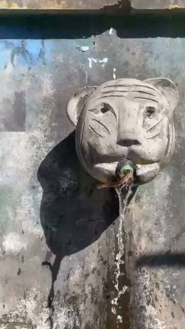चंबा जोत रोड पर डुगली पनिहार से निकला सांप नाग देवता के साक्षात दर्शन