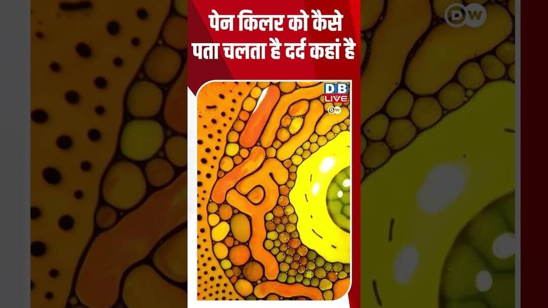 पेन किलर को कैसे पता चलता है दर्द कहां है #dwsciencewithvivek #painkiller, #medicineexplained