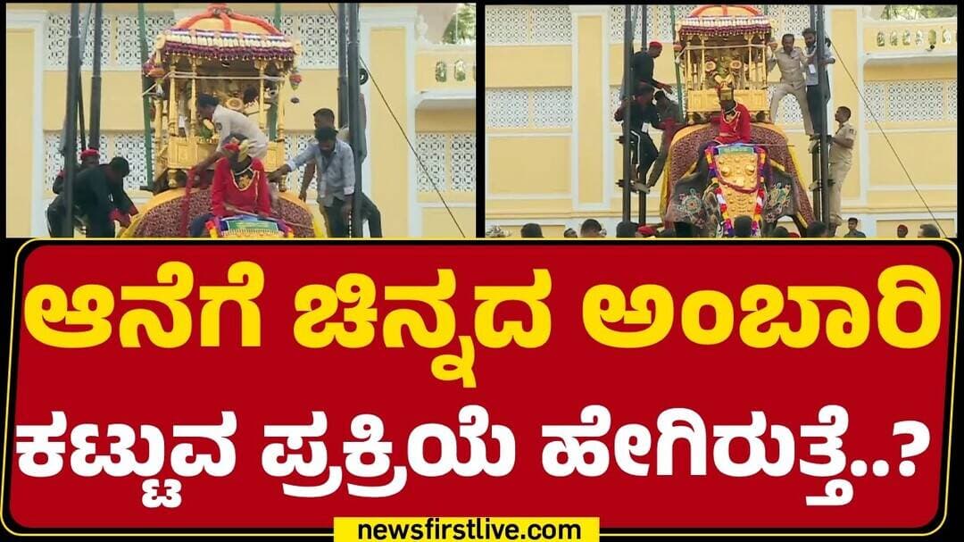 Dr. Shalva Pillai Iyengar : ಆನೆಗೆ ಚಿನ್ನದ ಅಂಬಾರಿ ಕಟ್ಟುವ ಪ್ರಕ್ರಿಯೆ ಹೇಗಿರುತ್ತೆ..? | @newsfirstkannada