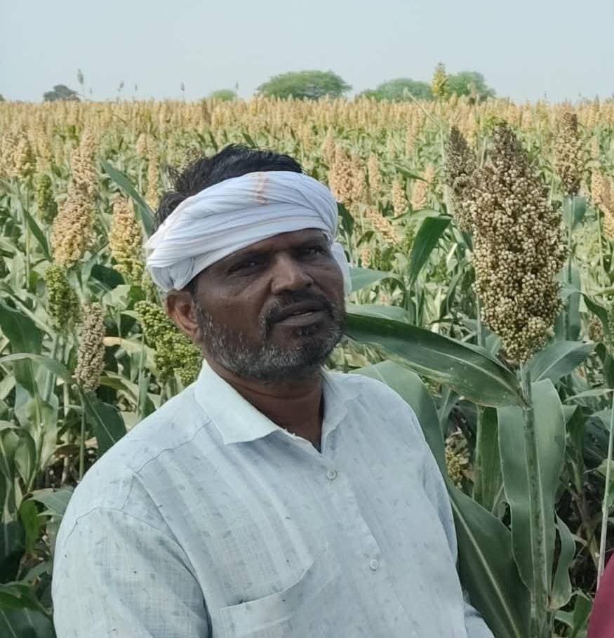 सफलता की कहानी
==
ग्राम सरखड़ी में श्री सोनी द्वारा ज्वार की उन्नत खेती
===
कृषि विज्ञान केंद्र, दमोह के प्रगतिशील कृषक राजकुमार सोनी (राजू सोनी) द्वारा ग्राम सरखड़ी में बदलते मौसम को देखते हुए कृषि विज्ञान केंद्र, दमोह के तकनीकी मार्गदर्शन में लगभग 35 एकड़ क्षेत्रफल में ज्वार फसल की खेती की गई। जिसमें प्रति एकड़ लागत छः से आठ हजार रूपये आती है एवं लगभग उत्पादन 15 से 25 क्विंटल प्रति एकड़ प्राप्त होता है। बदलते मौसम एवं अलनीनो के प्रभाव को देखते हुए कृषि विज्ञान केंद्र, दमोह, प्रभारी वरिष्ठ वैज्ञानिक एवं प्रमुख डॉ. मनोज कुमार अहिरवार की सलाह पर प्रगतिशील कृषक श्री राजकुमार सोनी द्वारा खरीफ मौसम में उड़द एवं सोयाबीन फसल में बदलाव कर कम पानी एवं कम खाद उर्वरक के उपयोग से अधिक उत्पादन हेतु ज्वार की खेती की गई।
जिसके अंतर्गत वरिष्ठ तकनीकी सहायक, शस्य विज्ञान डॉ. राजेश कुमार द्विवेदी द्वारा बुवाई से लेकर रोग कीट नियंत्रण एवं अन्य सभी प्रकार का मार्गदर्शन समय-समय पर दिया गया, जिसमें बांसा, सरखड़ी, कुमेरिया, दमोह इत्यादि क्षेत्रों के कृषकों के लिए एक नई फसल के रूप में ज्वार फसल लाभ के रूप में निकलकर आ रही है एवं मंडी में भी 4000 से 6000 रू. प्रति क्विंटल की दर से आसानी से विक्रय हो जाती है।