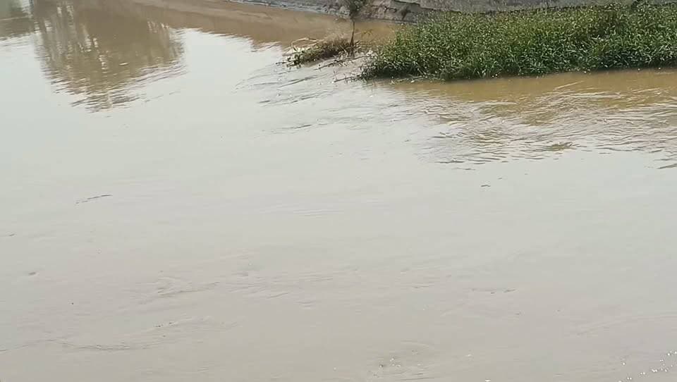संगरिया
राजस्थान पंजाब हरियाणा का त्रिवेणी संगम स्थल #ढाबां