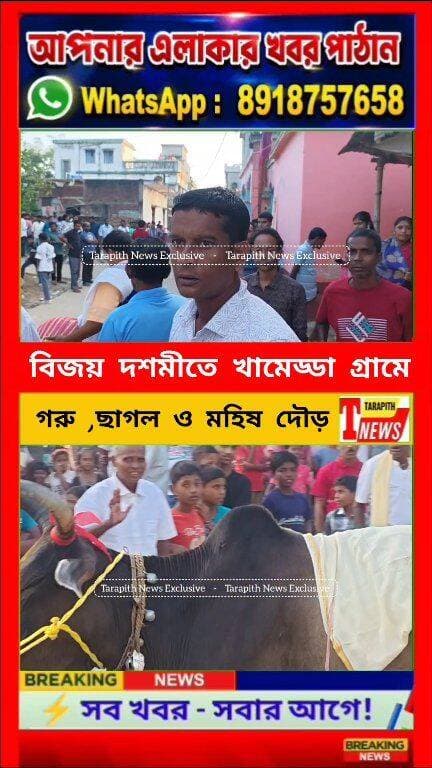 বিজয় দশমীতে তারাপীঠের খামেড্ডা গ্রামে
গরু, ছাগল ও মহিষের দৌড়, দেখতে উপচে পড়ল মানুষের ভিড়,১৫০ বছরের ঐতিহ্য আজও অমলিন..!
#Tarapithnews #বিজয়াদশমী #খামেড্ডা #গ্রামবাংলারঐতিহ্য #ViralVideo