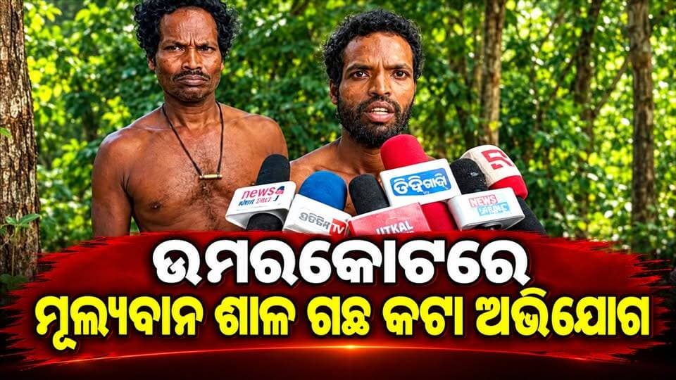 ଉମରକୋଟରେ ମୂଲ୍ୟବାନ ଶାଳ ଗଛ କଟା ଅଭିଯୋଗ, ବନ ବିଭାଗର ନଜରଦାରିକୁ ନେଇ ପ୍ରଶ୍ନ || #breakingnews #odisha #news