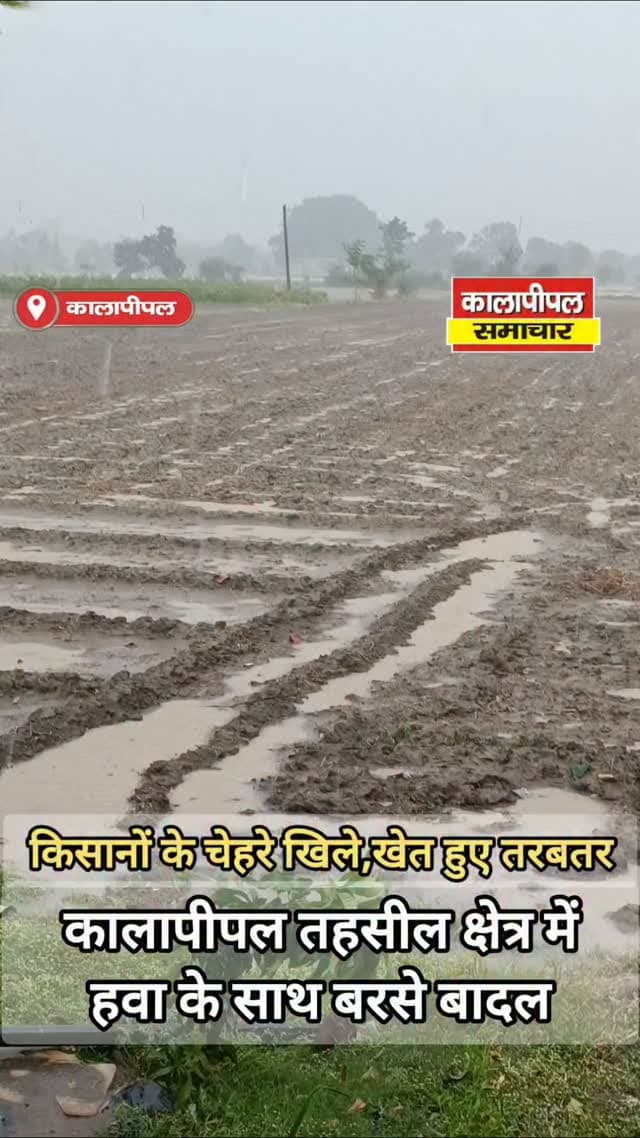 कालापीपल तहसील क्षेत्र में हवा के साथ बरसे बादल,किसानों के चेहरे खिले,खेत हुए तरबतर।