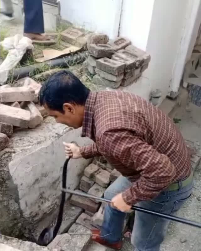 मंडी : नाचन विधानसभा क्षेत्र के भौर गांव में सर्पमित्र देशराज गर्ग ने किया जहरीले कोबरा सांप का रेस्क्यू 🐍
देखें रेस्क्यू का रोमांचक वीडियो! वीडियो देखने के बाद कमेंट बॉक्स में अपनी राय देना न भूलें।