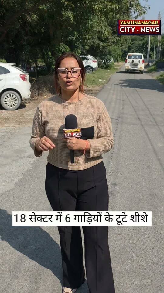 यमुनानगर के हुडा सेक्टर-18 में शरारती तत्वों का आतंक! 6 गाड़ियों के शीशे तोड़े, इलाके में मचा हड़कंप।