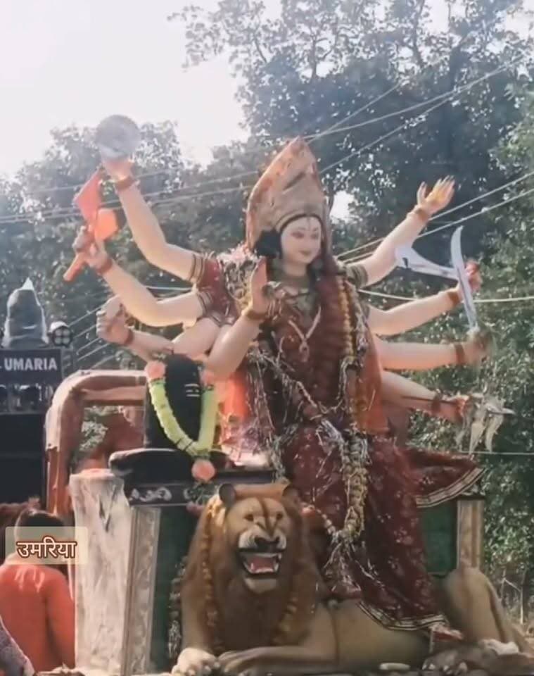 विसर्जन..