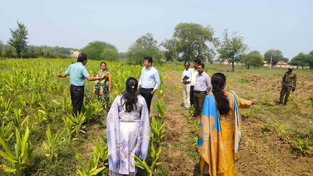सीईओ जिला पंचायत श्री जयंत नाहटा ने मखाना उत्पादन को बढ़ावा देने निर्माणाधीन डबरियों का किया निरीक्षण
उन्होंने कार्य की गुणवत्ता, श्रमिकों की उपस्थिति एवं मानव दिवस के संधारण की समीक्षा कर निर्धारित समय-सीमा में निर्माण पूर्ण करने के दिए निर्देश
#dhamtri #chhattisgarh
CMO Chhattisgarh DPR Chhattisgarh
