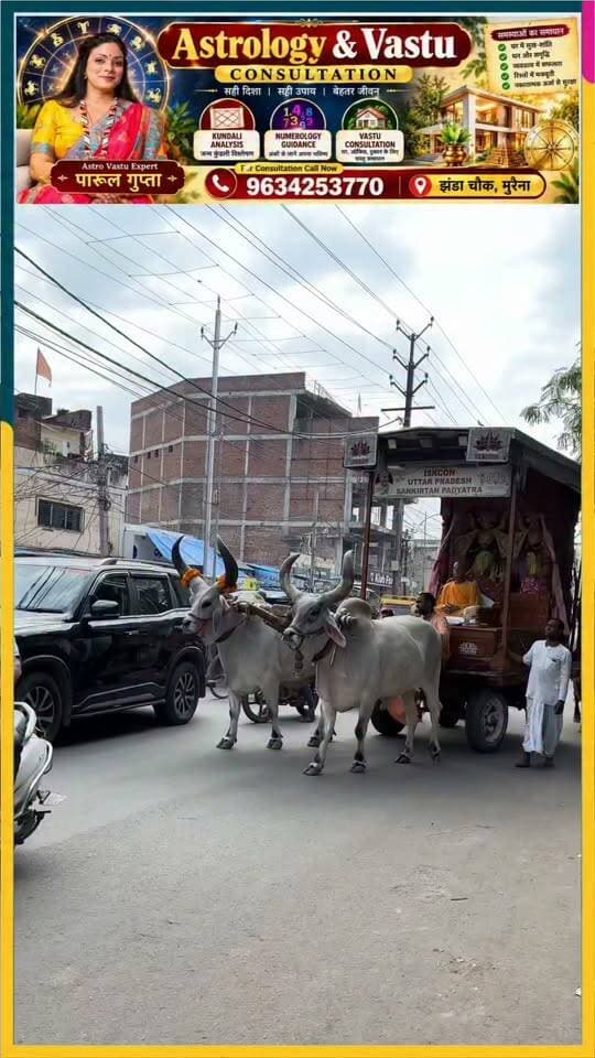 क्या आपने कभी देखे हैं इतने बड़े बैल और उनके इतने बड़े सींग
#vairalpost #teels #reelsvideoシ