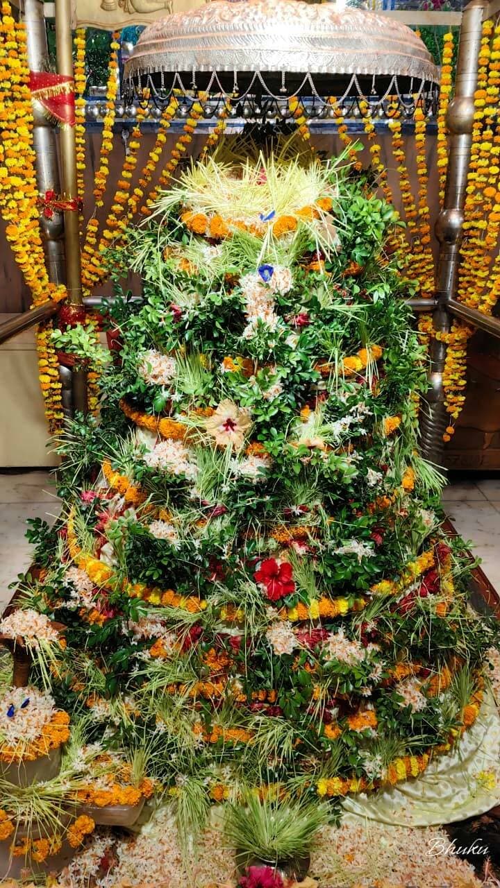 बिहार के सारण जिले के दिघवारा प्रखंड अंतर्गत प्रसिद्ध आमी शक्तिपीठ में विराजमान सिद्धिदात्री माँ अम्बिका भवानी का संध्या आरती से पूर्व मनमोहक श्रृंगार दर्शन।