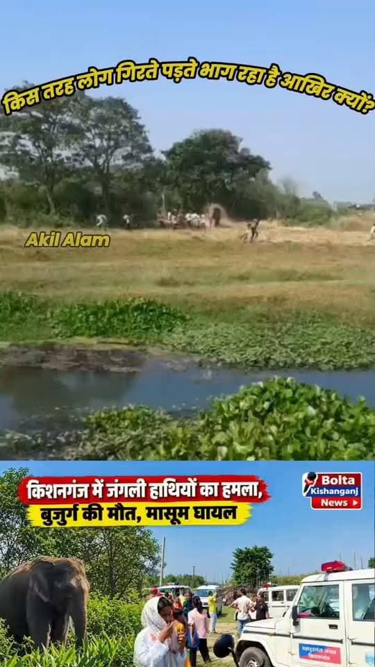 ऐसा भी भला कोई एक जानवर के साथ करें जिससे खुद की जान बचाना मुश्किल हो जाये😱😱😭
#ElephantAttack #Bahadurganj #NewsUpdate #BreakingNews