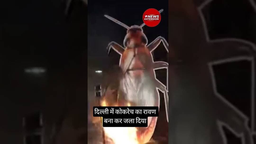 दिल्ली में कोकरेच का रावण बना कर जला दिया #cockroachjantaparty #cockroach #rawan