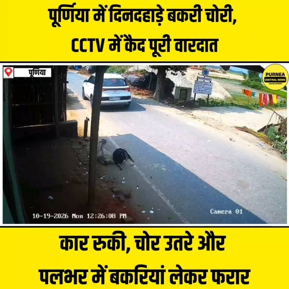 देखते-देखते बकरी चोरों की गैंग ने 2 बकरियां उठाईं और लेकर फरार! CCTV में पूरी वारदात कैद
#Purnea #Purnia #BakriChori #CCTVVideo #ViralVideo #Maharajpur #BiharNews #PurneaNews #BreakingNews #PurniaNews