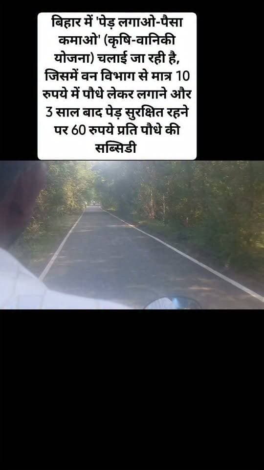 सड़क किनारे और हरियाली को बढ़ावा देने के लिए केंद्र और राज्य सरकारों की प्रमुख योजनाएं हैं। राष्ट्रीय स्तर पर ग्रीन हाईवे नीति के तहत भारतीय राष्ट्रीय राजमार्ग प्राधिकरण (NHAI) और वन विभाग मिलकर सड़कों के दोनों तरफ पौधे लगाते हैं। इसके अलावा बिहार में 'पेड़ लगाओ-पैसा कमाओ' (कृषि-वानिकी योजना) चलाई जा रही है, जिसमें वन विभाग से मात्र 10 रुपये में पौधे लेकर लगाने और 3 साल बाद पेड़ सुरक्षित रहने पर 60 रुपये प्रति पौधे की सब्सिडी या आर्थिक सहायता दी जाती है।