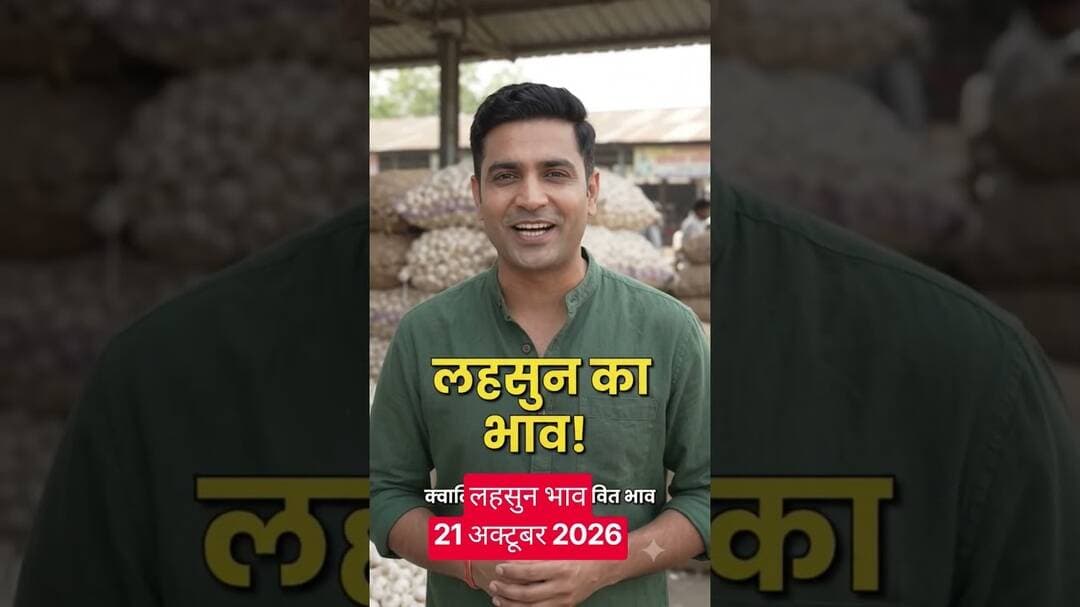 लहसुन भाव 21 October 2026 #lahsun_ka_bhav #garlic #lahsunaajkabhav