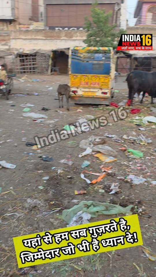 आपकी अपनी सब्जी मंडी Mahendergarh #shorts #groundreport #indianews16 #sabjimandi #mahendragarhnews