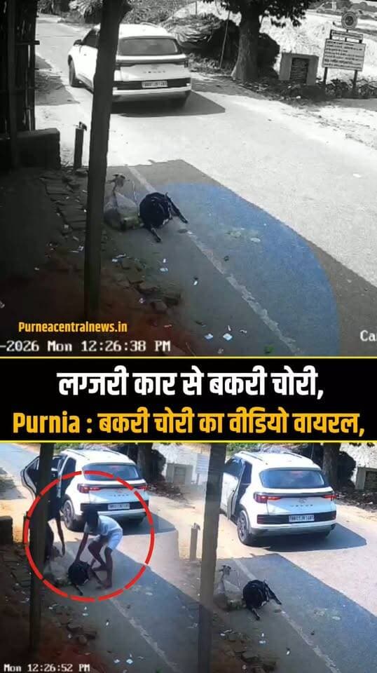 Purnia : लग्जरी कार से बकरी चोरी, बकरी चोरी का वीडियो वायरल, purnea Central news नहीं करता वायरल वीडियो की पुष्टि....
#biharnews #viralvideos #purneacentralnews #purnea #bakrichor