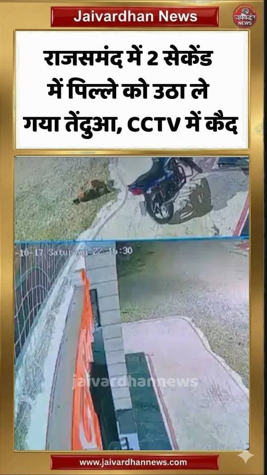 राजसमंद में 2 सेकेंड में पिल्ले को उठा ले गया तेंदुआ, CCTV में कैद #rajsamandnews