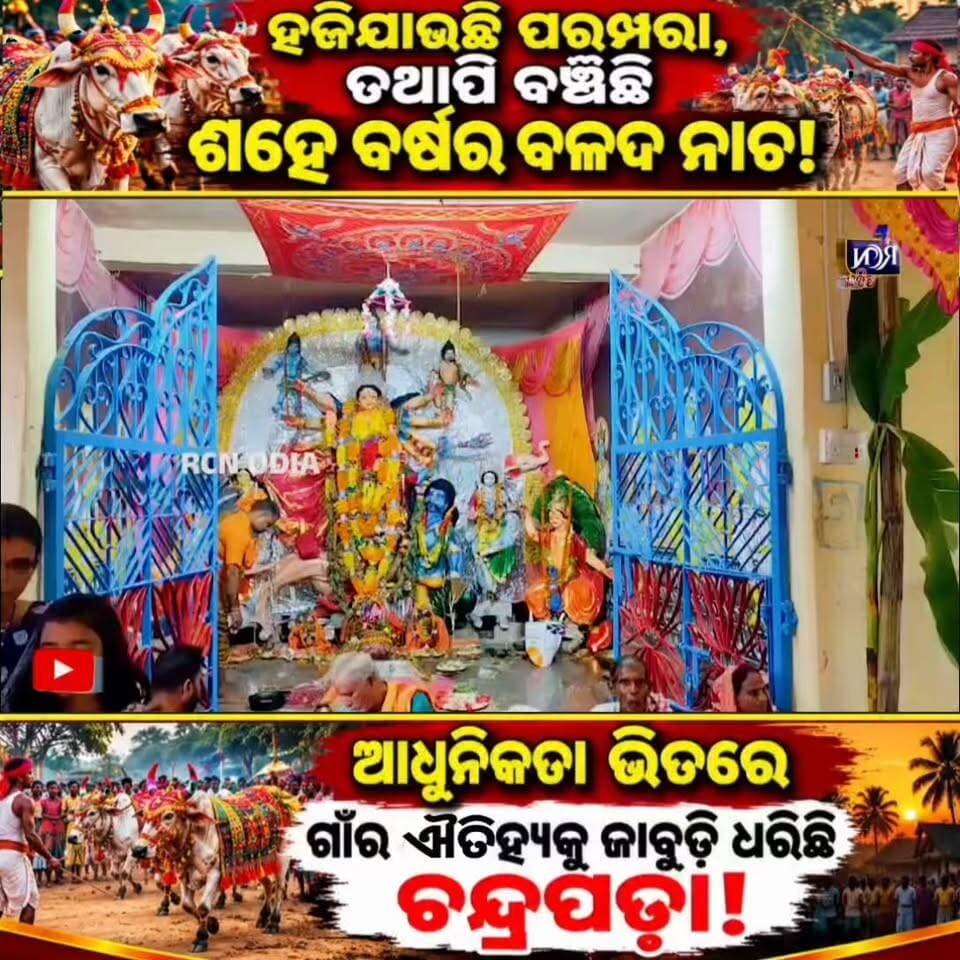🐂🔥 ହଜିଯାଉଛି ପରମ୍ପରା, ହେଲେ ହାରିନି ଚନ୍ଦ୍ରପଡ଼ାର ଐତିହ୍ୟ! ଆଧୁନିକତାର ଯୁଗରେ ବି ୧୦୦ ବର୍ଷରୁ ଊର୍ଦ୍ଧ୍ୱ ପୁରୁଣା ବଳଦ ନାଚକୁ ଜୀବନ୍ତ ରଖିଛି ଏହି ଗାଁ। ❤️🙏 ଆମ ମାଟି, ଆମ ପରମ୍ପରା, ଆମ ଗର୍ବ!
#RCNODIA #ଚନ୍ଦ୍ରପଡ଼ା #ବଳଦନାଚ #ଓଡ଼ିଆସଂସ୍କୃତି #OdishaCulture
