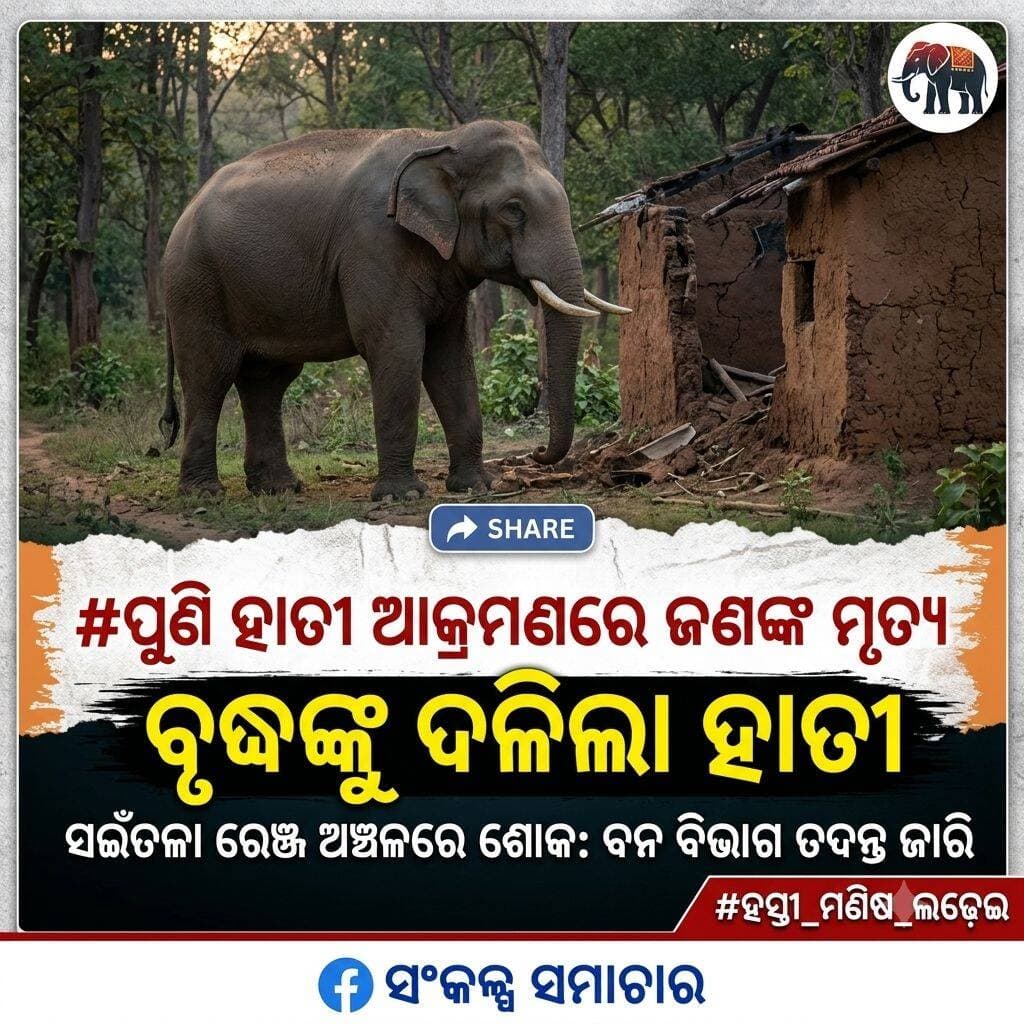 ହାତୀ ଆକ୍ରମଣରେ ଜଣଙ୍କ ମୃତ୍ୟୁ.. ଘରେ ଶୋଇଥିବା ବେଳେ ବୃଦ୍ଧଙ୍କୁ ଦଳିଦେଲା ହାତୀ...ଦେଓଗାଁ ଥାନା ଡାହିମାଲ ଗାଁର ବୃଦ୍ଧ ସୀତାରାମ ଭୋଇଙ୍କ ହାତୀ ଆକ୍ରମଣରେ ମୃତ୍ୟୁ..ଘଟଣା ସ୍ଥଳରେ ସଇଁତଳା ରେଞ୍ଜ ବନ ବିଭାଗ କର୍ମଚାରୀଙ୍କ ତନାଘନା ତଦନ୍ତ ଜାରି..