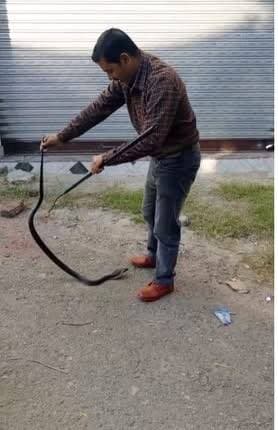 नाचन के भौर गांव में घर के अंदर निकला जहरीला ब्लैक कोबरा, सर्प मित्र देशराज गर्ग ने किया सफल रेस्क्यू
पूरी खबर पढ़ने के लिए क्लिक करें।