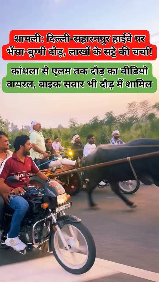 शामली: दिल्ली-सहारनपुर हाईवे पर भैंसा-बुग्गी दौड़, लाखों के सट्टे की चर्चा!
कांधला से एलम तक दौड़ का वीडियो वायरल, बाइक सवार भी दौड़ में शामिल
शामली में दिल्ली-सहारनपुर हाईवे पर भैंसा-बुग्गी दौड़ का वीडियो सोशल मीडिया पर वायरल हो रहा है। वीडियो में भैंसा-बुग्गियों के पीछे तेज रफ्तार से बाइक दौड़ाते दर्जनों युवक दिखाई दे रहे हैं।
1️⃣ कांधला से एलम तक मंगलवार शाम हाईवे पर भैंसा-बुग्गी दौड़ आयोजित होने की जानकारी सामने आई है।
2️⃣ स्थानीय लोगों के अनुसार, दौड़ में लाखों रुपये का सट्टा लगाए जाने की चर्चा है।
3️⃣ वायरल वीडियो में भैंसा-बुग्गियों के साथ कई बाइक सवार तेज रफ्तार से दौड़ते नजर आ रहे हैं।
4️⃣ हाईवे पर इस तरह की गतिविधियों से अन्य वाहन चालकों और प्रतियोगिता में शामिल लोगों की सुरक्षा पर सवाल खड़े हो रहे हैं।
5️⃣ स्थानीय पुलिस पर समय रहते कार्रवाई नहीं करने के आरोप लगाए जा रहे हैं।
6️⃣ एसपी नरेंद्र प्रताप सिंह ने मामले की जांच सीओ को सौंपी है। पुलिस की लापरवाही सामने आने पर संबंधित कर्मियों के खिलाफ कार्रवाई की बात कही गई है।
सवाल: हाईवे पर इस तरह की दौड़ और कथित सट्टेबाजी पर रोक लगाने के लिए क्या समय रहते कार्रवाई नहीं होनी चाहिए थी?
वायरल वीडियो के बाद अब पुलिस जांच पर सबकी नजरें टिकी हैं।
#ShamliNews #Kandhla #DelhiSaharanpurHighway #BhainsaBuggiRace #UPPolice #ViralVideo #BreakingNews