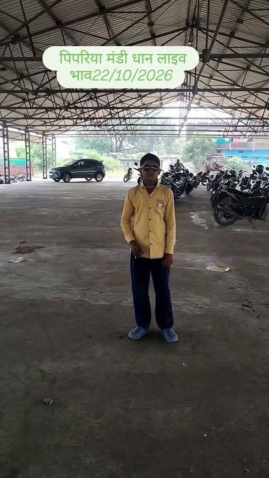 पिपरिया मंडी धान भाव 22/10/2026 #india #mandi #rice