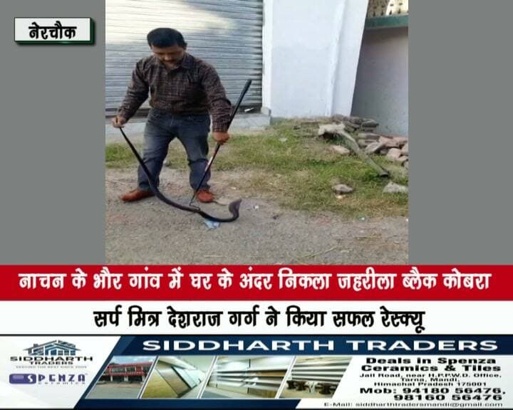 नाचन के भौर गांव में घर के अंदर निकला जहरीला ब्लैक कोबरा, सर्प मित्र देशराज गर्ग ने किया सफल रेस्क्यू