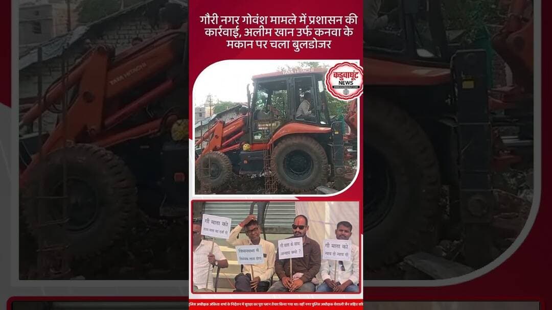 राजनांदगांवगौरी नगर गोवंश मामले में कार्रवाई #rajnandgaon #chhattisgarhnews #news #kadwaghutnews
