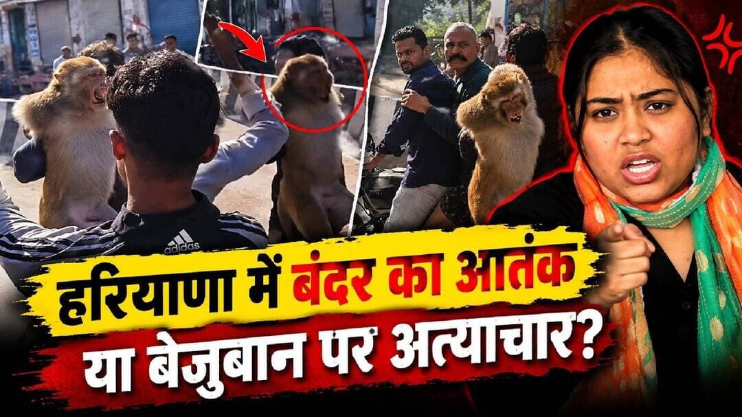 बंदर को पकड़ा या पीटा? | Fact Social Media Viral Video | Sach Ki Raftar |