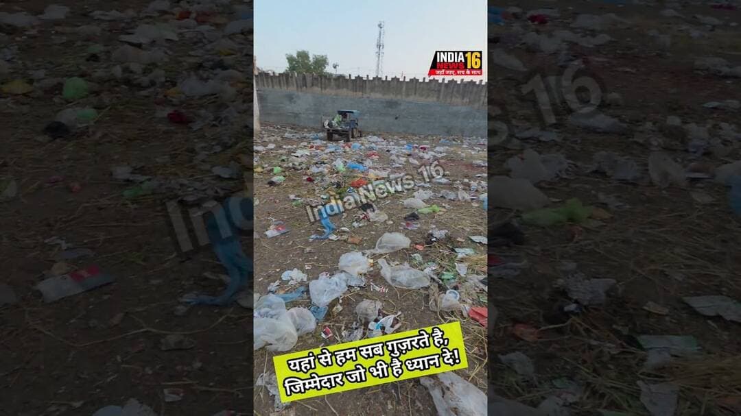 आपकी अपनी सब्जी मंडी #Mahendergarh #shorts #groundreport #indianews16 #sabjimandi