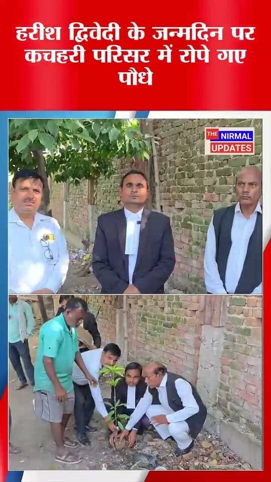 बस्ती: पूर्व सांसद हरीश द्विवेदी के जन्मदिन पर अधिवक्ताओं ने किया पौधरोपण..
#हरीशद्विवेदी #जन्मदिन #thenirmalupdates #facebookviral #tranding